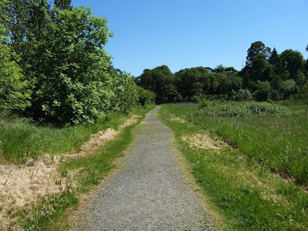 Option 1 - segment of trail to the Bluff Trail